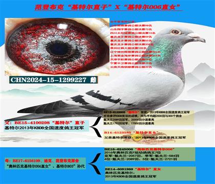 迪克 范登布克“基特尔”直子X“基特尔006”直女