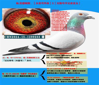 (公棚专家)范德帕斯“丘比特号外孙”X“无限号半兄弟直女”