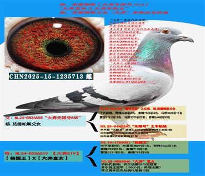 (山区地形 吃苦耐劳)云贵川提速利器 公棚首选