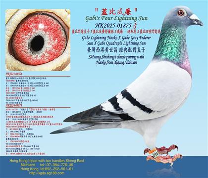 �w���W�ֱ��X�w�Ȼ��M�à��OX�������ϲ���X�w�������W늌O