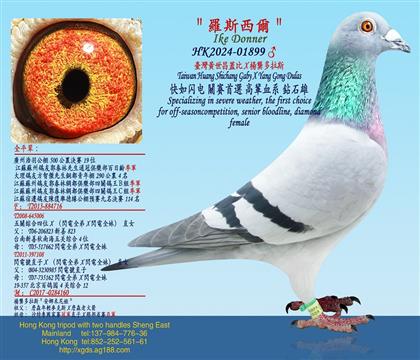 24��/�_���S�����w��X��������˹