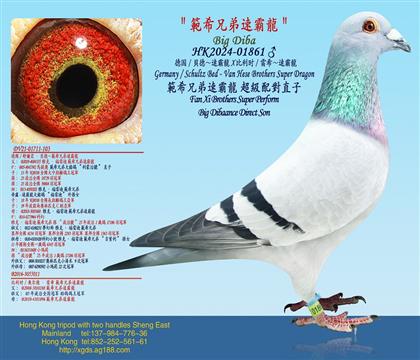 �¹�/ؐ�¡��ٰ���X ����ʱ/��ϣ���ٰ���