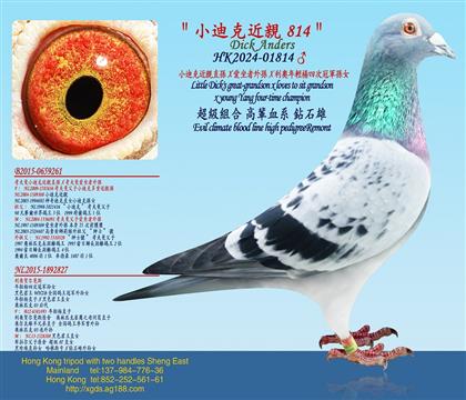 24��/С�Ͽ˽��Hֱ�OX��������OX���W���p���Ĵι�܊�OŮ