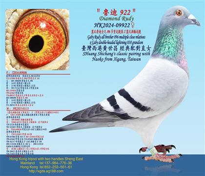 24���w������ȫ��896���ؽ��H�OX�w�Ȝu݆���H