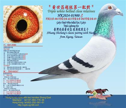 24��/�S����������һ�䌦/�W�ȫ��038X�W�ȫ��662