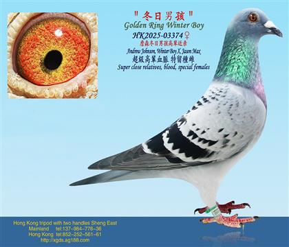 ղɭ�����к��߱�����