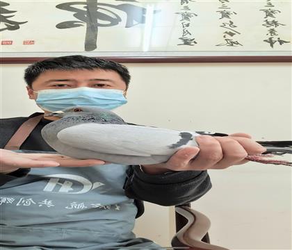 兰布瑞契(小汉基)