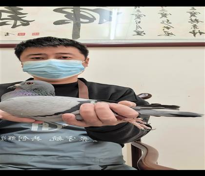 超级克拉克新手