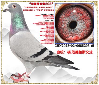 ��.������˹�����޺Ž���ֱ������޺�ȫ�ֵ�ֱŮ��