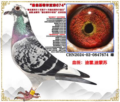 �ϻ�.�����ա���ѻ��ض�����ֱ�ӡ�����ѻ��ض�ֱŮ��