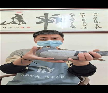 威奇公棚决赛376名