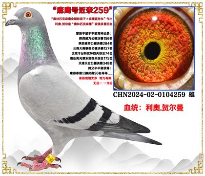 ���¡�����ƥ����ӥȫ����ֱ��X��ӥֱ��Ů����������