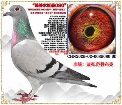 �Ͽ�.���ǲ��ˡ����ض�006ֱ�ӡ����ض�ֱ��Ů����Ѫ