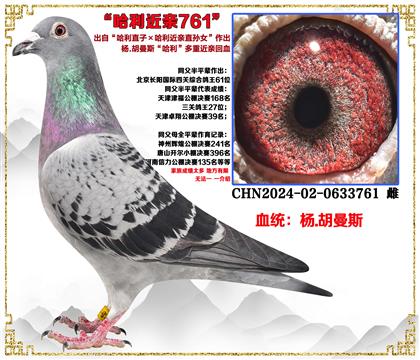 ��.����˹������ֱ�ӡ���������ֱ��Ů������