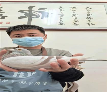 红卡多季军直女