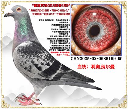 ����.�ض���������003ֱ���003����Ů�����ؽ��׻�Ѫ