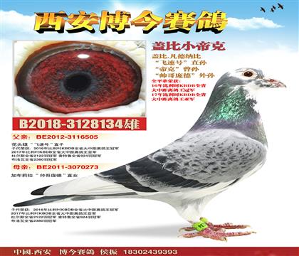 ·��.������ԭ��