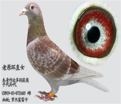 �޽ܸ��׿� ������������� �ִ�