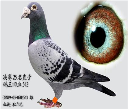 �Ҷ��� ���� ������������񽱸�