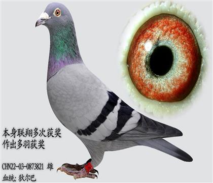 �Ҷ��� ��������� ƽ������20��