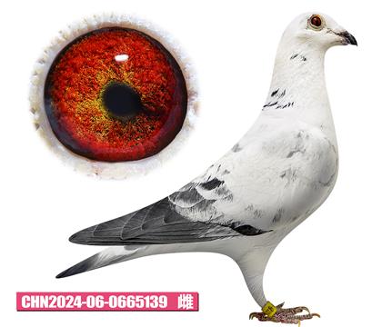 ���ǲ�����-�ú칫��139