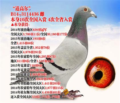 �����߶���ȫ��30,180��177λ