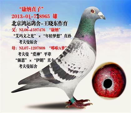 ��ѫ�� ����x����A�� ֱ�� �������˸�������