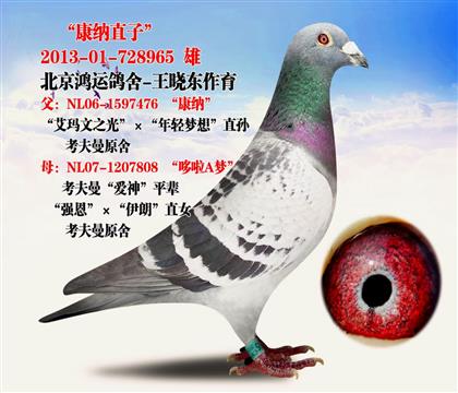 ��ѫ�� ����x����A�� ֱ�� �������˸�������