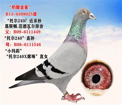 ��ѫ�� �����ҽ�ͯ�� ��˹��ԭ��