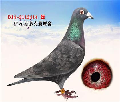 ����.˹�����ԭ��