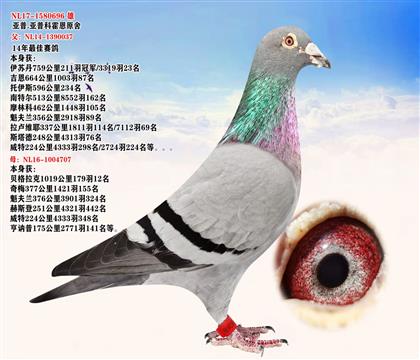 ���Ҿ���X��һ��ʿ��ֱ�� ����.�ƻ���ԭ��