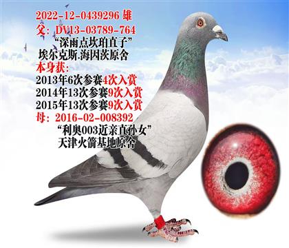 ������㿲��ֱ��296��