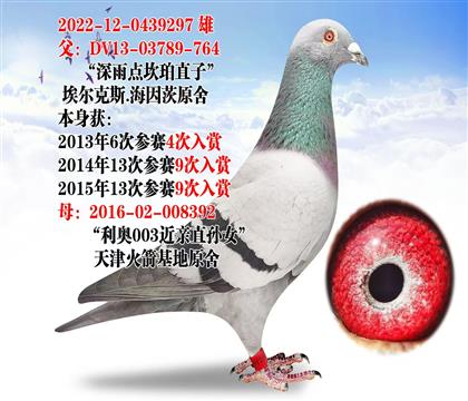 ������㿲��ֱ��297��