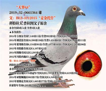 ������64��