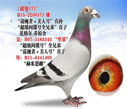 ��ѫ�� ������171��  �����.��ԭ�� ɣ��ʿѪϵ