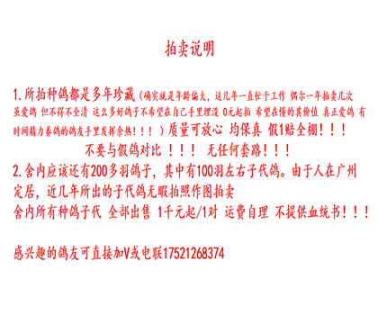 ����˵��������