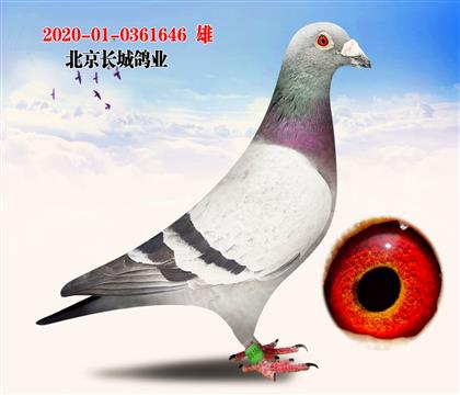 ����X���� Ѫϵ ���Ǹ�ҵ����