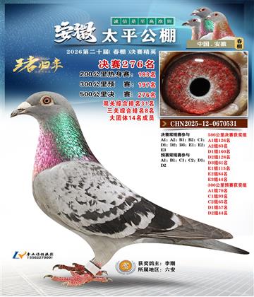 安徽太平决赛276名