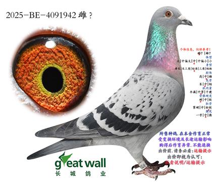 2.�����ֵ�ԭ��.4091942