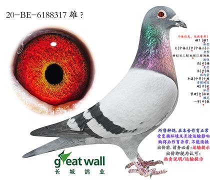 8.�½�ķ���.6188317