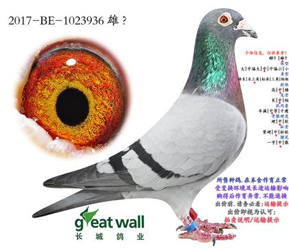 15.������������ѻ��ض�.1023936