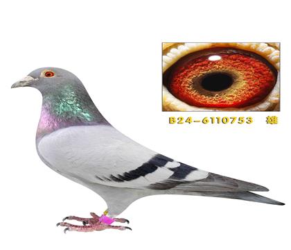 �ҹ�˹����753