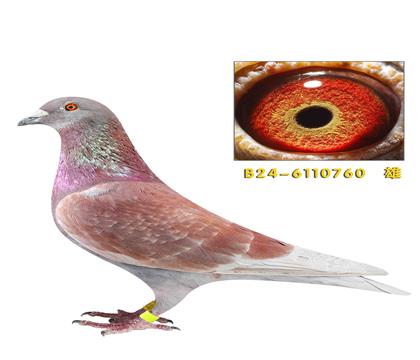 �ٶȸ���721ֱ��760