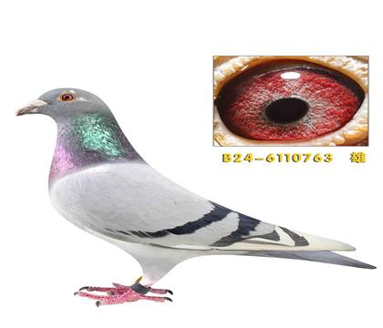 �ҹ�˹������ѻ��ض�763