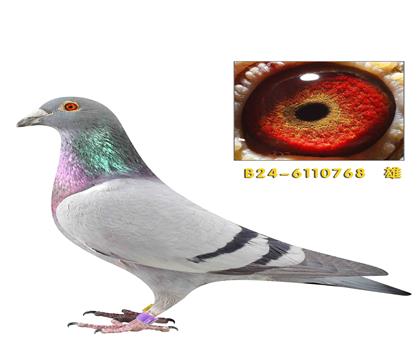 �ҹ�˹����768