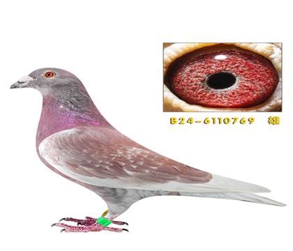 ���Ͽ˻��ض�769