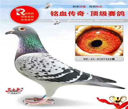 ��ũ��ֱ��˸��ص�