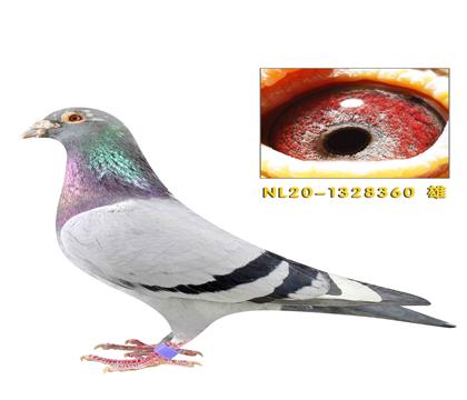 ����������ض�360