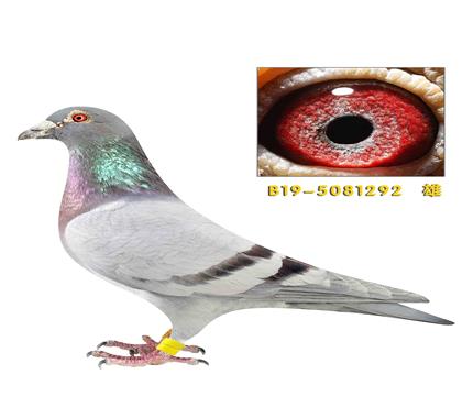 ɣ��ʿ25�ιھ�ֱ��292