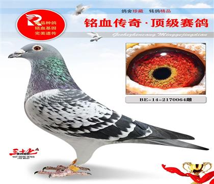 ����017ֱŮ��������ĸ